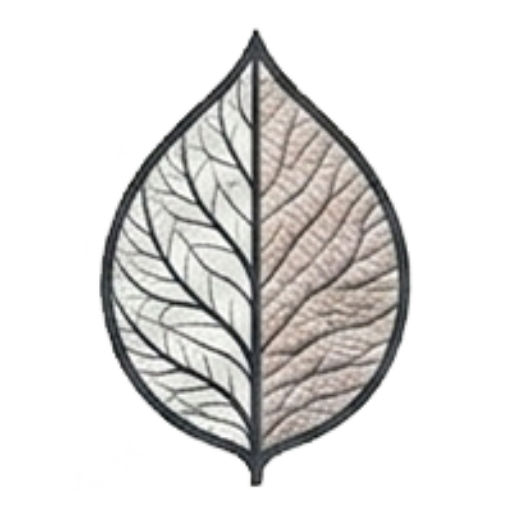 Anti-aging device guide